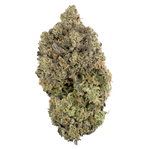 Krazy Glue - Image 3