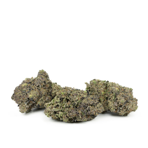 Buy Vice City by Exotic Genetix | Vapestorer